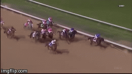 Game On Dude 2011 Breeders Cup Classic